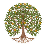 All About Seasons Tree 2