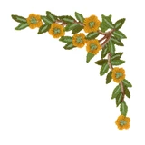 All About Seasons Corner 2