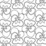 Pansy | LAPK10036-05
