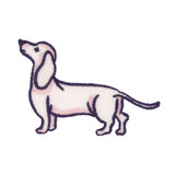 Everyday Dog 3