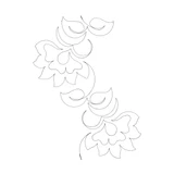 Lotus Dewdrops
