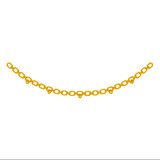 Gold Necklace Chain