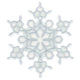 Snowflake 9 | FP221