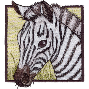 Baby Zebra Square