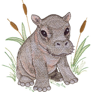 Hippo Calf