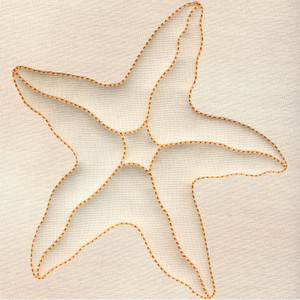 Starfish | 12396-11