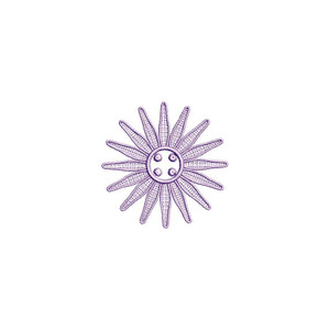 FSL Chrysanthemum Petals 5