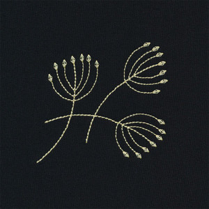 Dandelion Seeds
