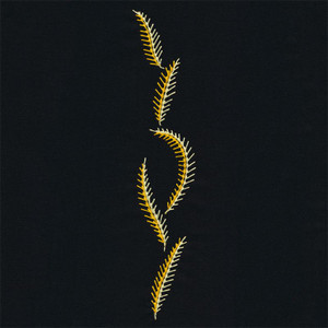 Feathery Leaves Border