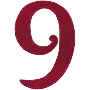 Number 9 Applique