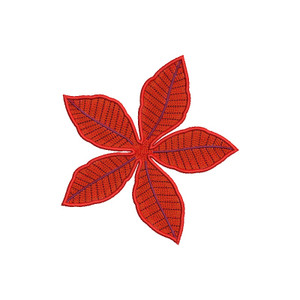 Poinsettia Petals 1
