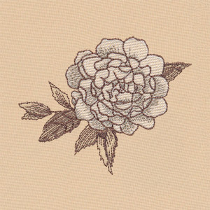 Rose Branch 1