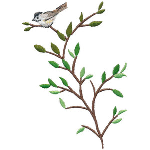 Chickadee on Branch