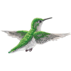 Ruby-throated Female 2