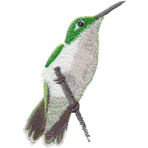 Ruby-throated Female 1