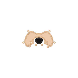 Muzzle FSA