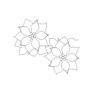 Poinsettia Pantograph
