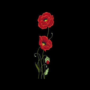 Poppies & Bud Border 1