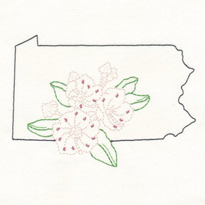 Pennsylvania Mountain Laurel