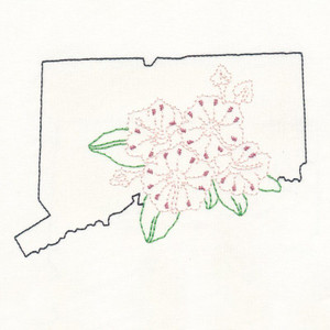 Connecticut Mountain Laurel