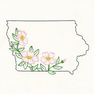 Iowa Wild Rose