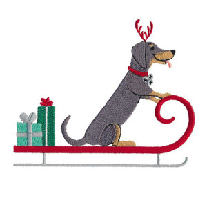 Sled Daschund
