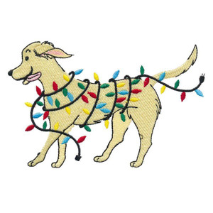 String Lights Retriever