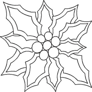 Holly Cluster Triple Run