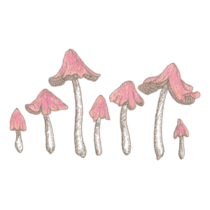 Pink Mushrooms