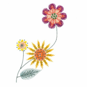 Summer Sampler 7
