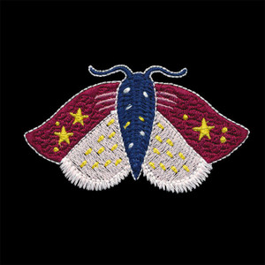 Summer Nights Insect 2