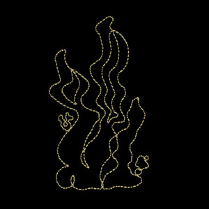 Seaweed 2 Linework