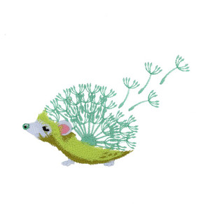 Dandelion Hedgehog 2