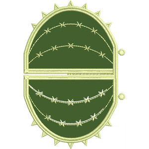 Cactus 1 Section 1 FSA