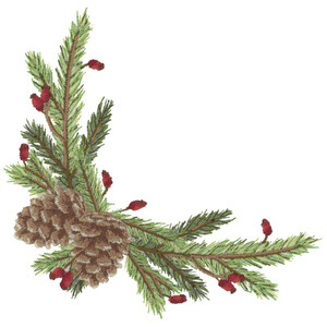 Pine Corner | 51312-07