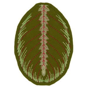 Maranta Leuconeura Small Leaf FSA