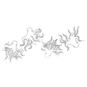 Mystery Food | PK80018-02