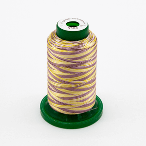 Medley Variegated Embroidery Thread - Flamingo 1000 Meter (V103)