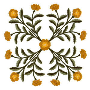 Heirloom Marigolds 4