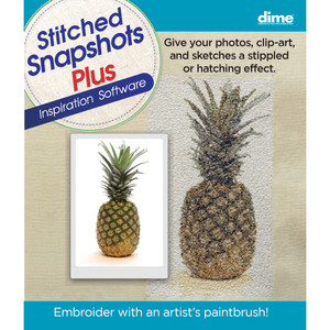 Stitched Snapshots Plus Software