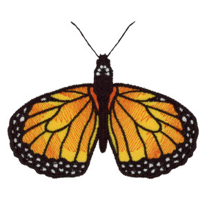 Monarch Bottom Wings & Body