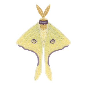 Luna Moth Bottom Wings & Body