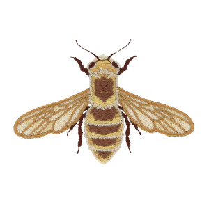 Bee Bottom Wings & Body