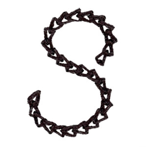 Chain Stitch Capital S