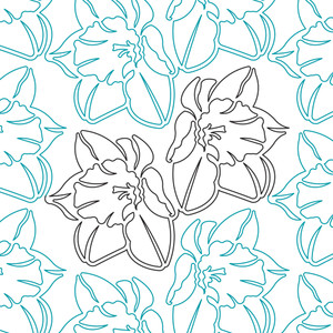 Daffodil | LAPK10036-03