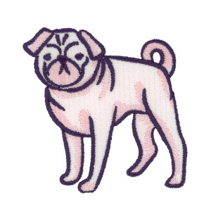 Everyday Dog 4
