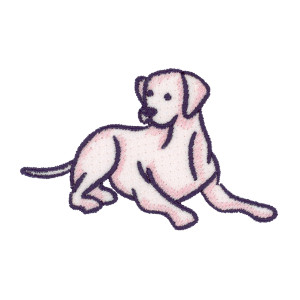 Everyday Dog 7
