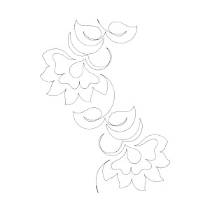 Lotus Dewdrops