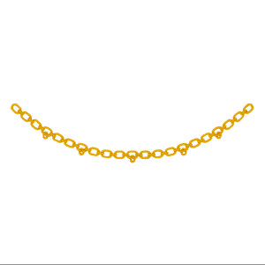 Gold Necklace Chain