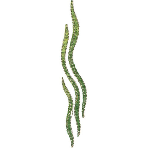 Seaweed | CC83915